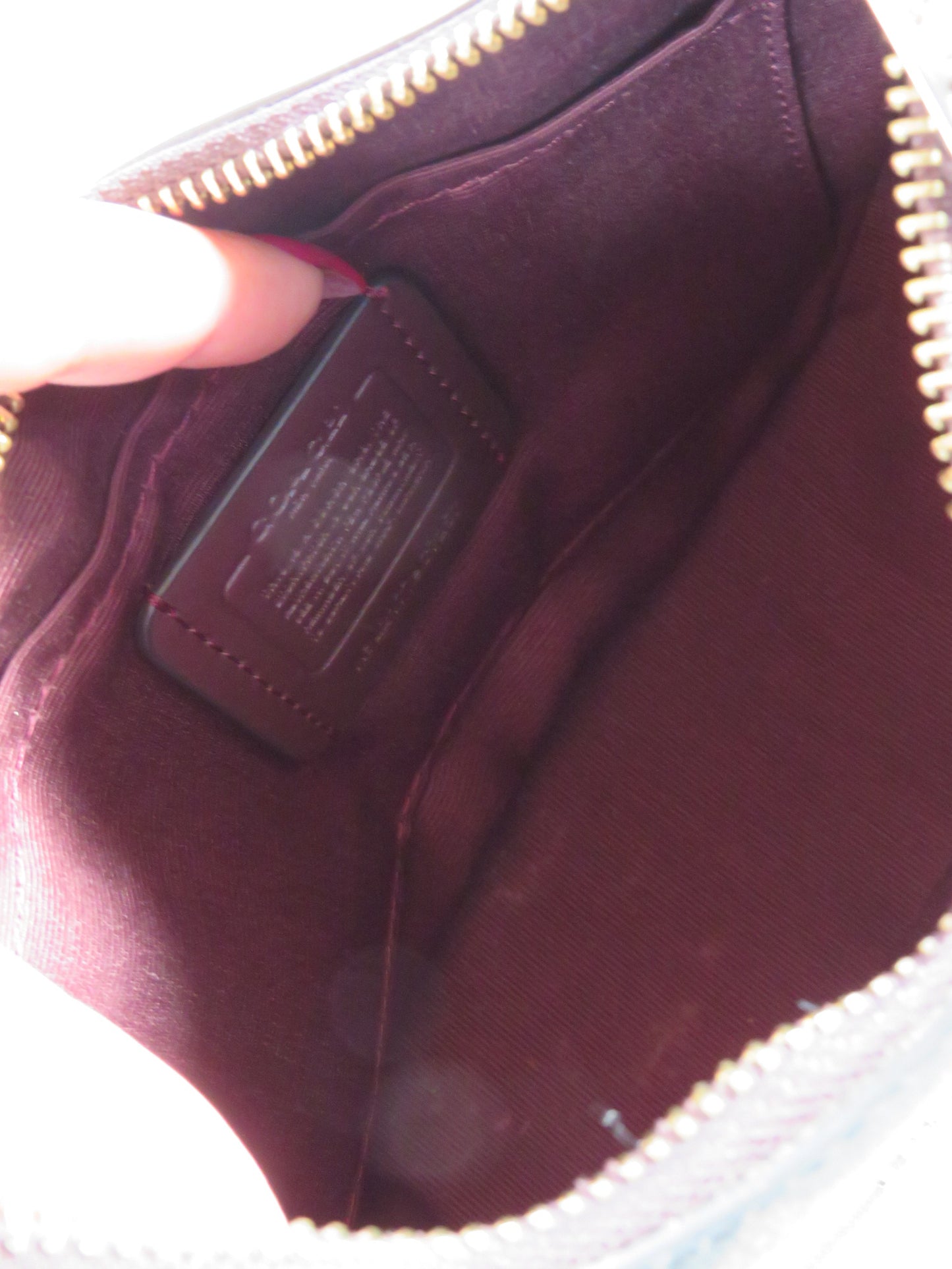 Coach Signature Kleo Hobo Bag
