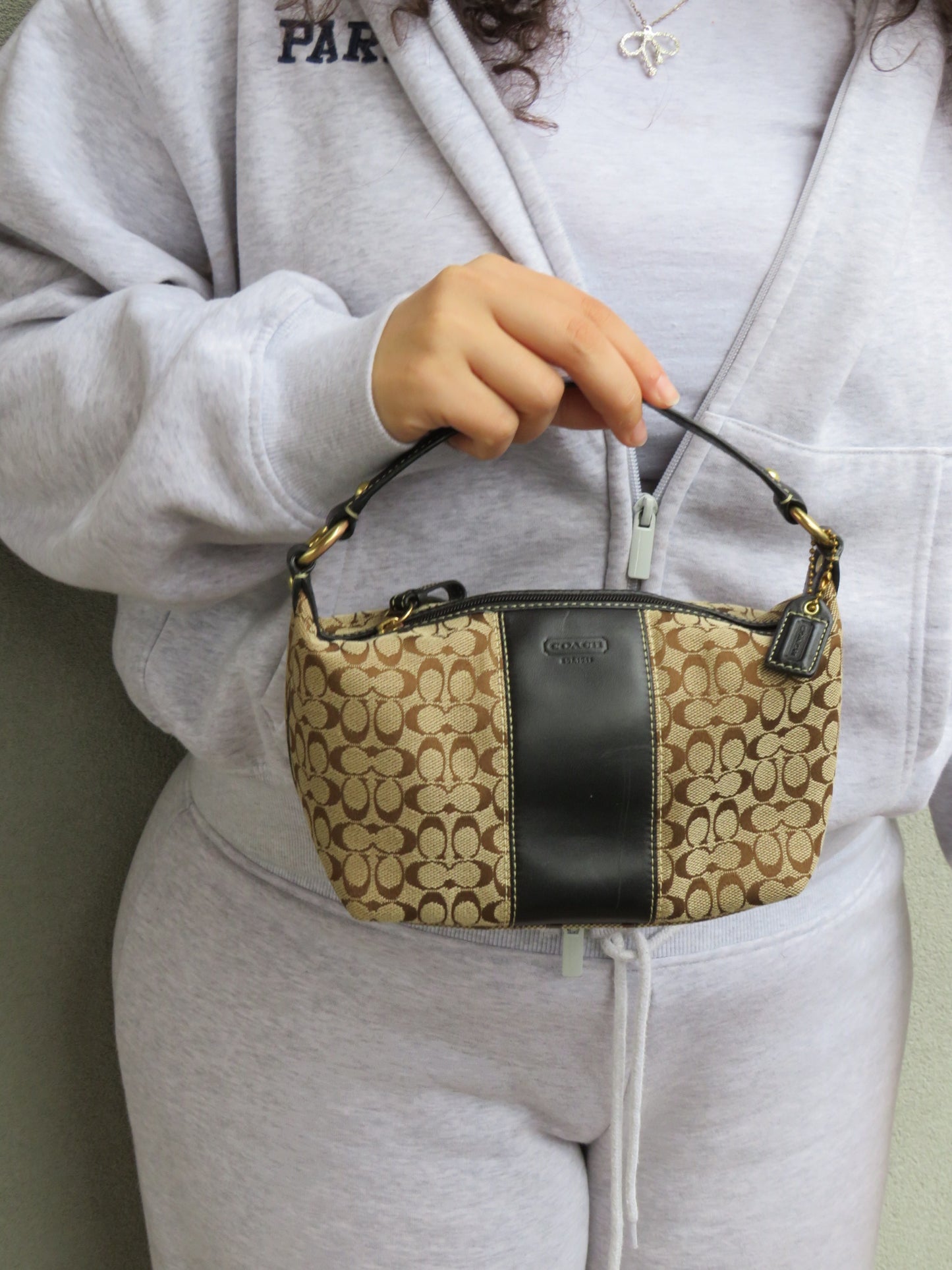 Mini Coach Monogram Bag