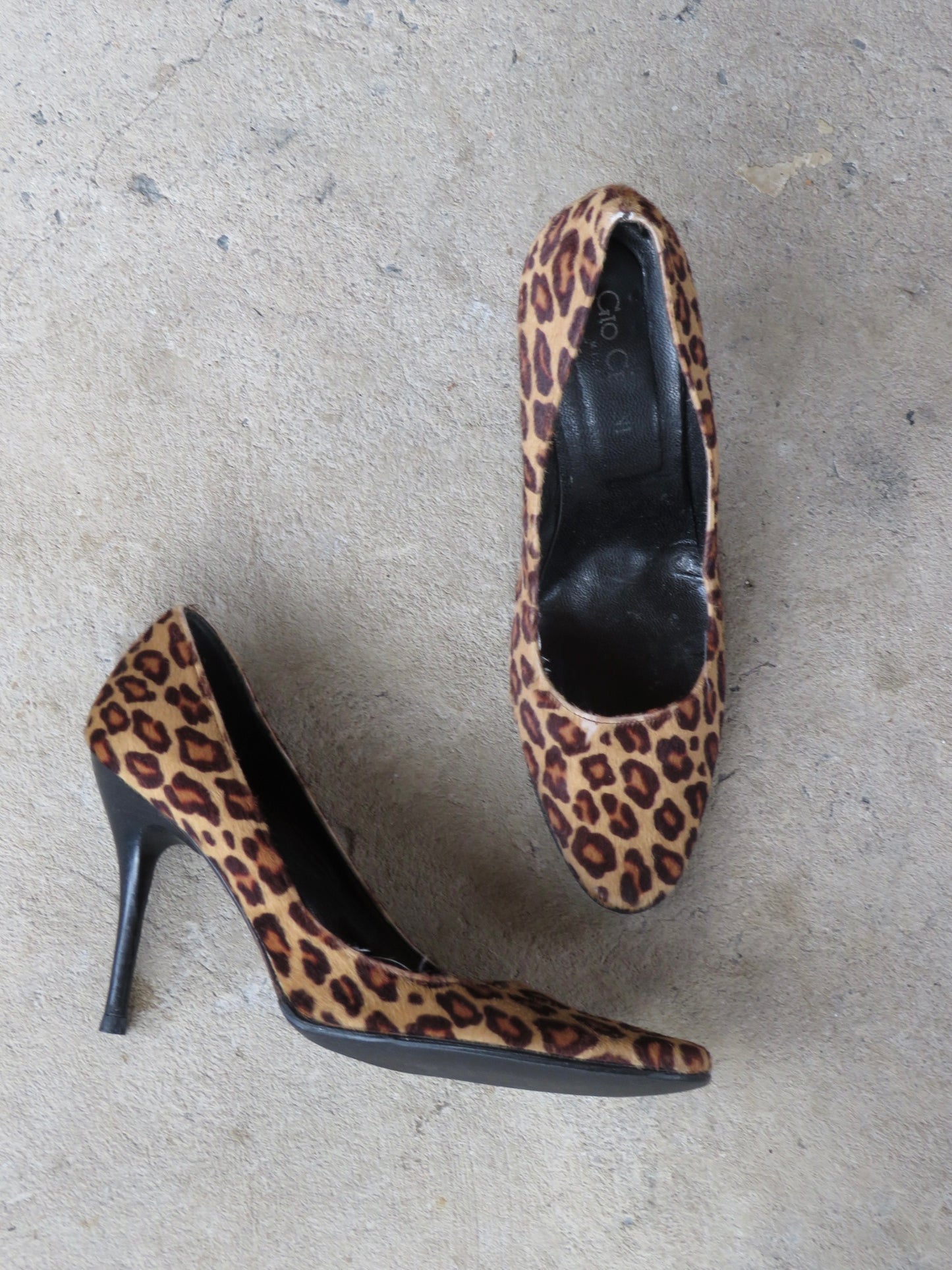 Gio Cellini Leopard Heels