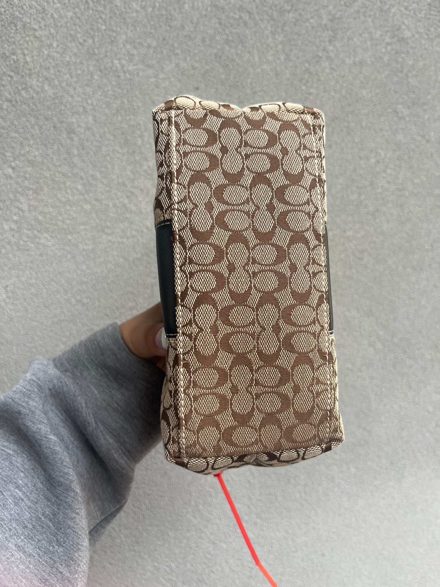 Mini Coach Monogram Bag