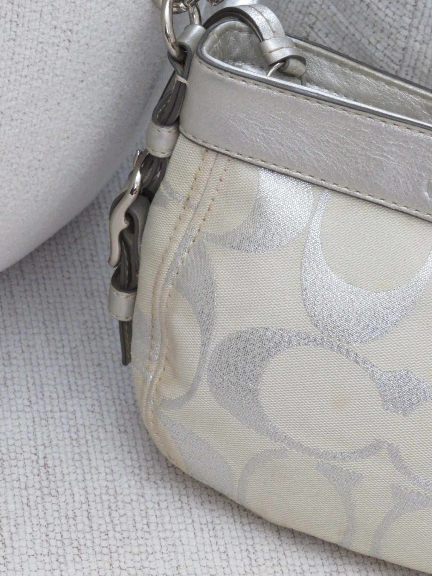 Metallic Monogram Coach Bag