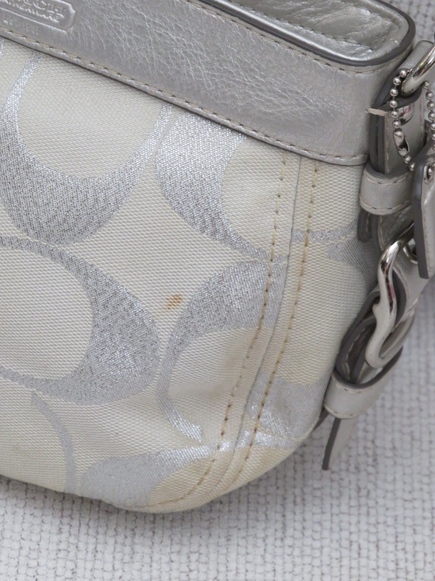 Metallic Monogram Coach Bag