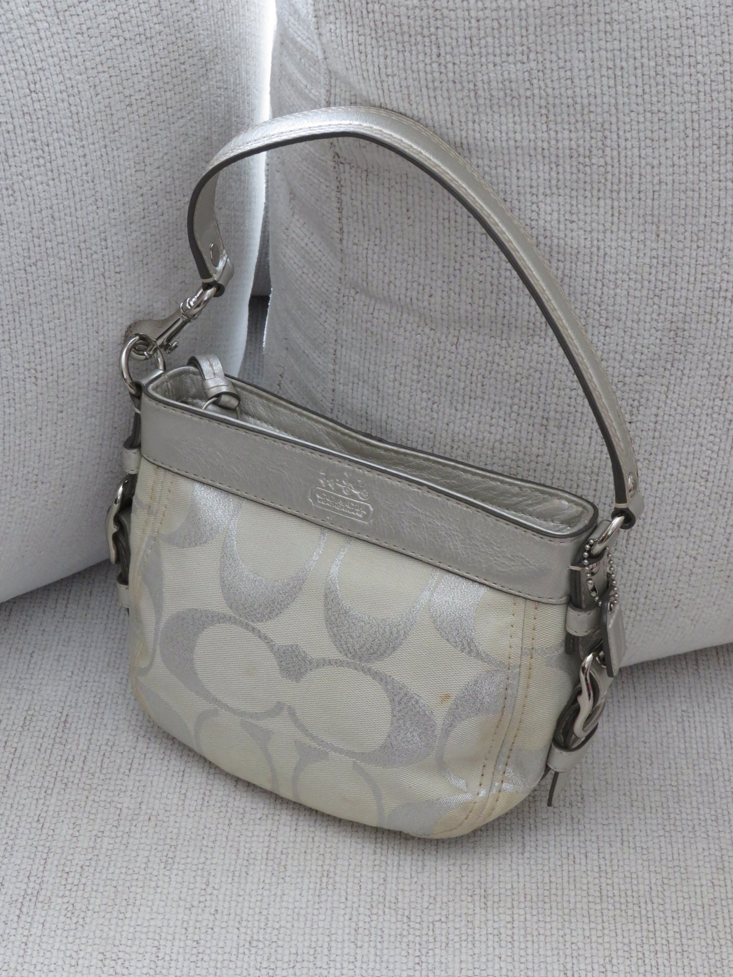 Metallic Monogram Coach Bag