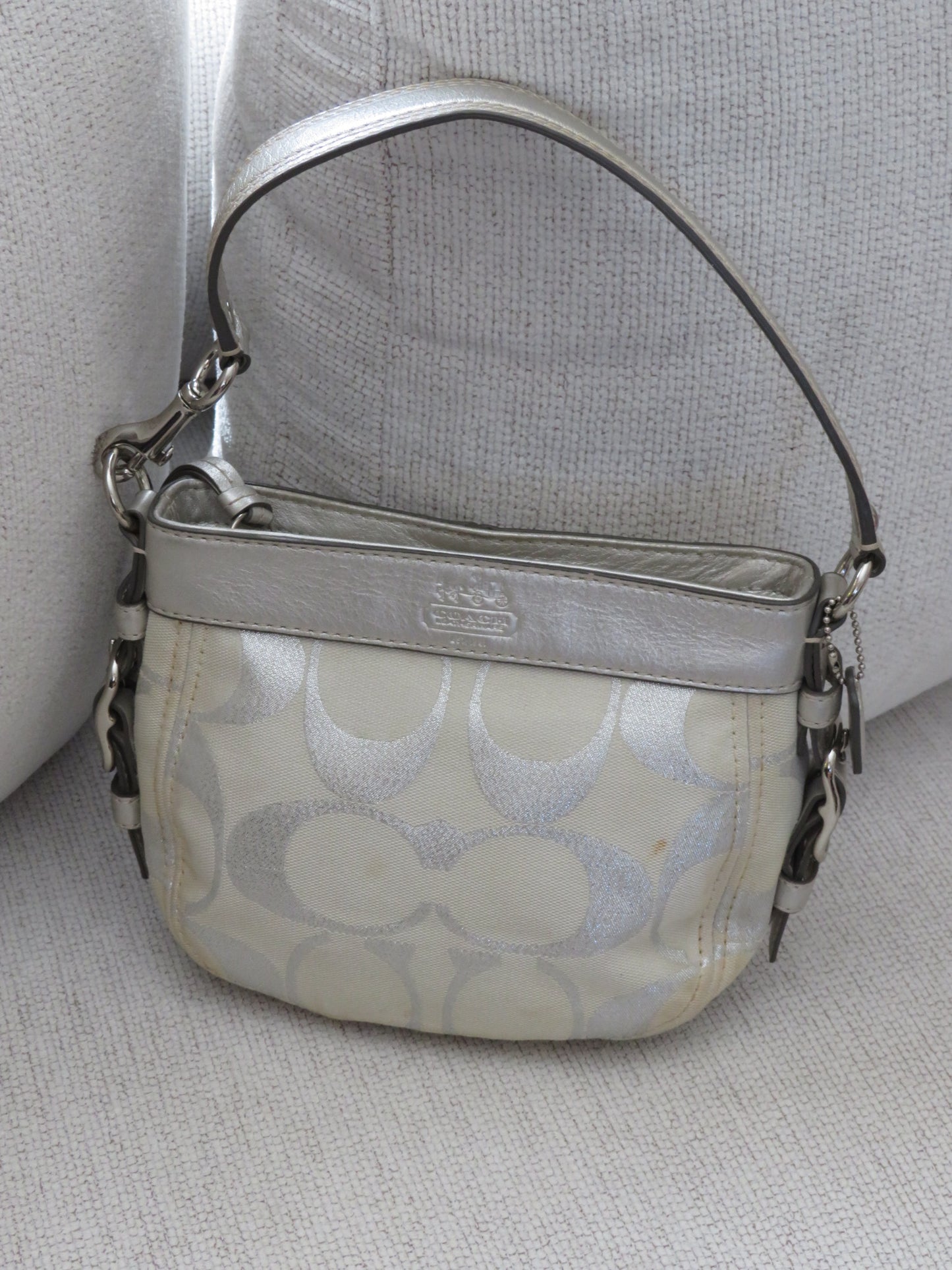 Metallic Monogram Coach Bag