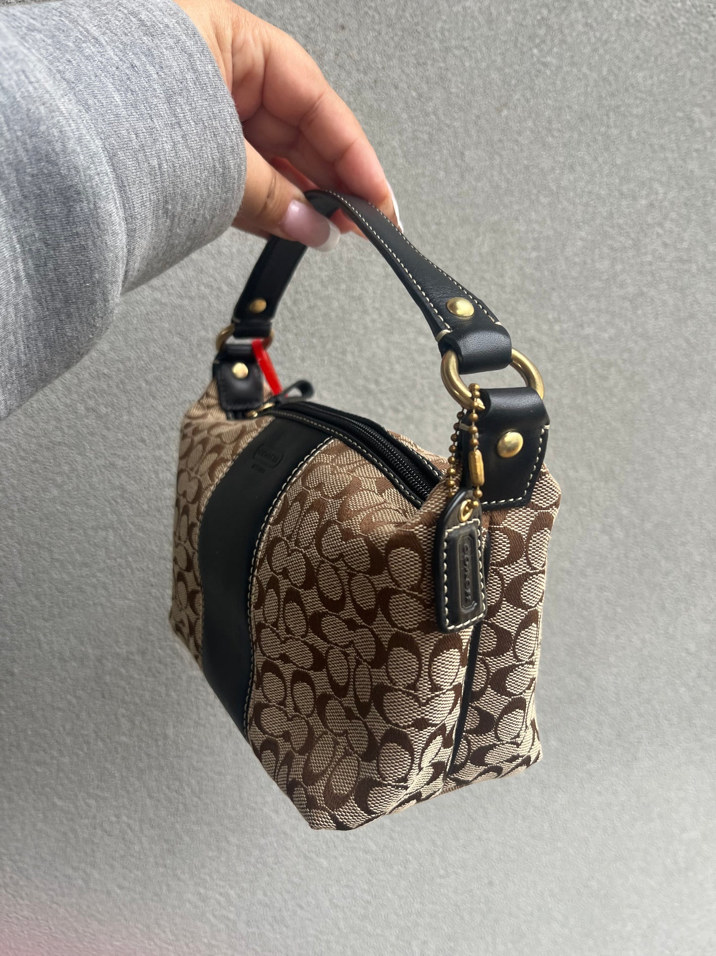 Mini Coach Monogram Bag