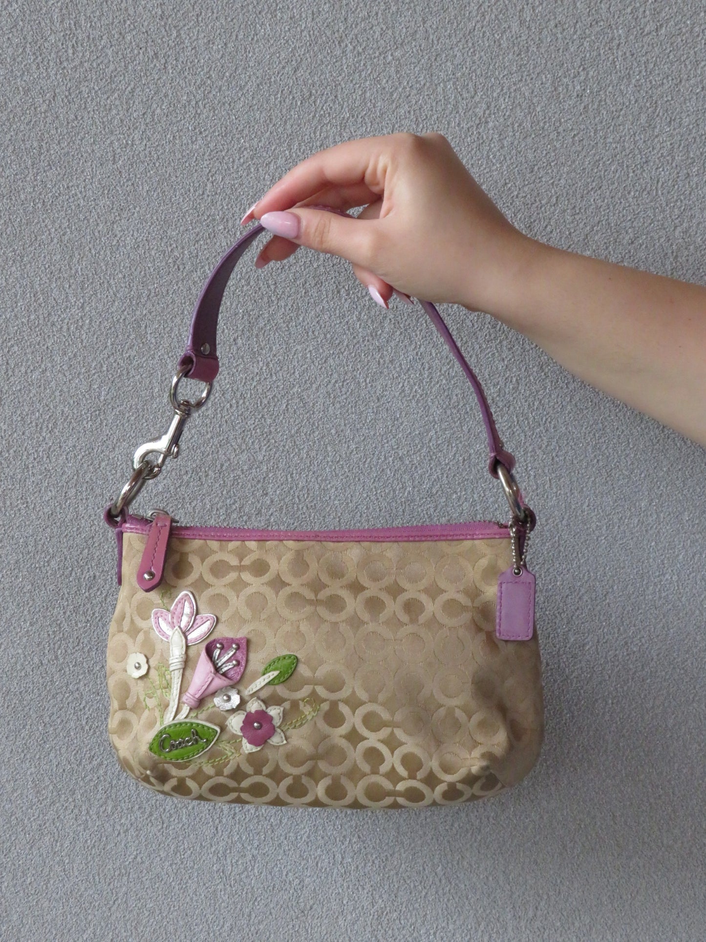 RARE Coach Embroidered Bag