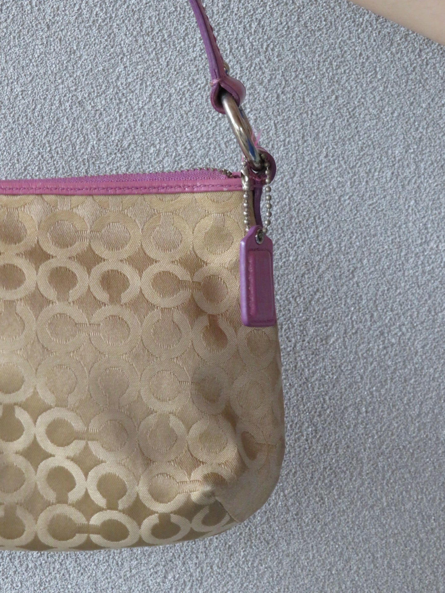 RARE Coach Embroidered Bag