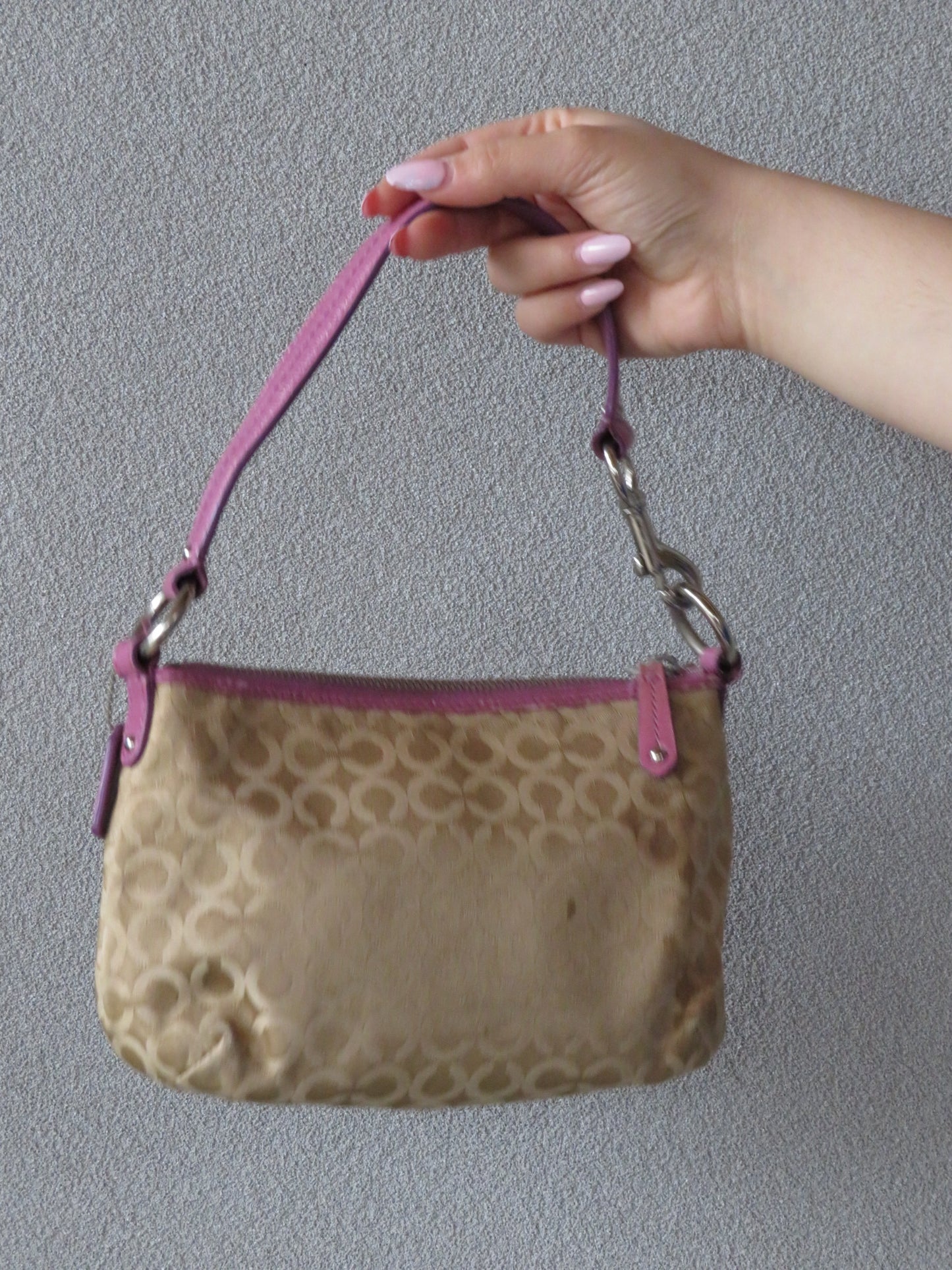 RARE Coach Embroidered Bag