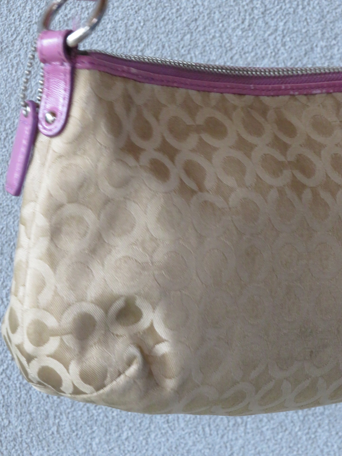 RARE Coach Embroidered Bag