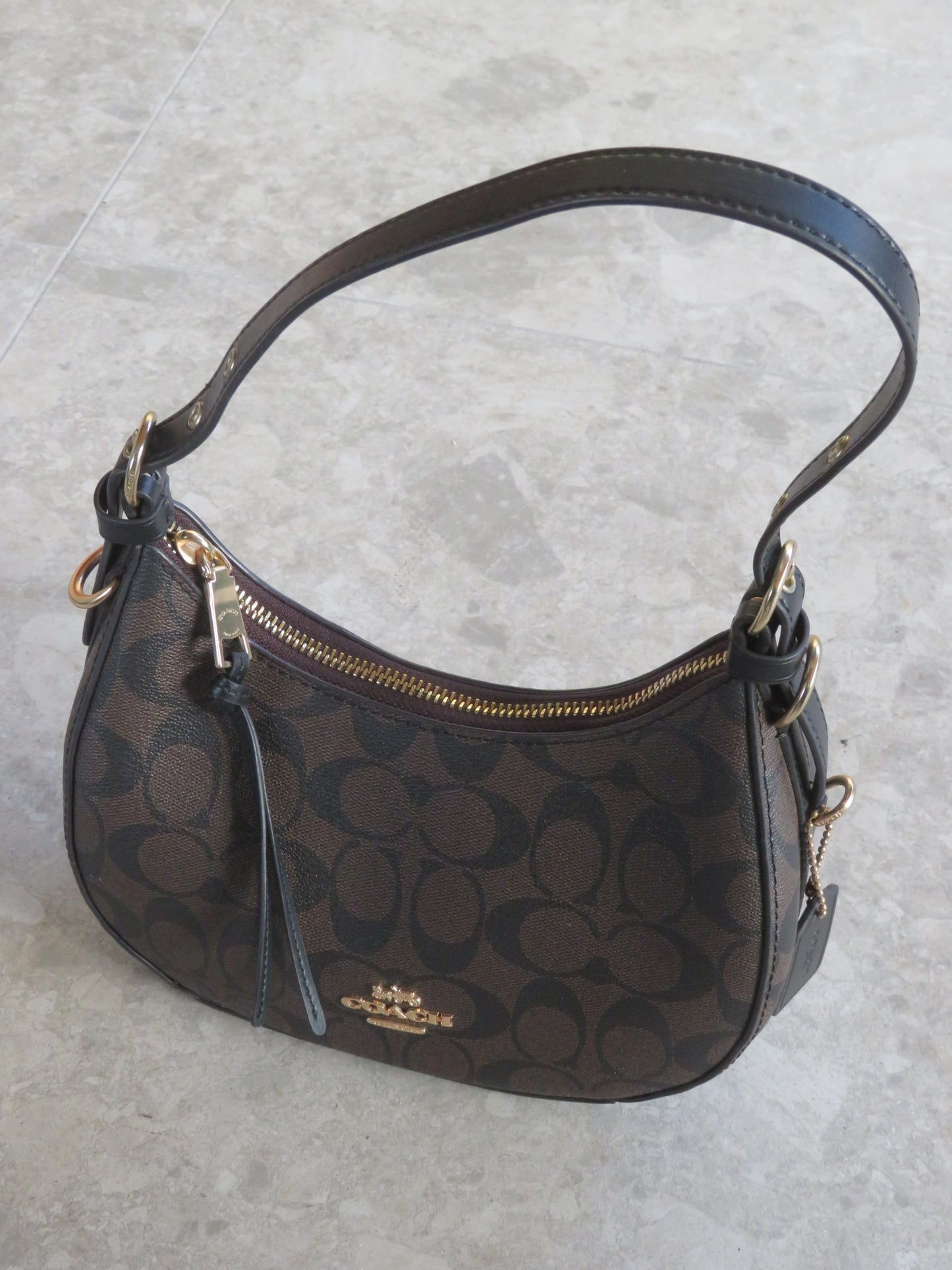 Coach Signature Kleo Hobo Bag