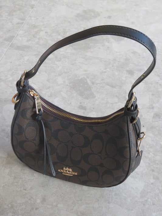 Coach Signature Kleo Hobo Bag