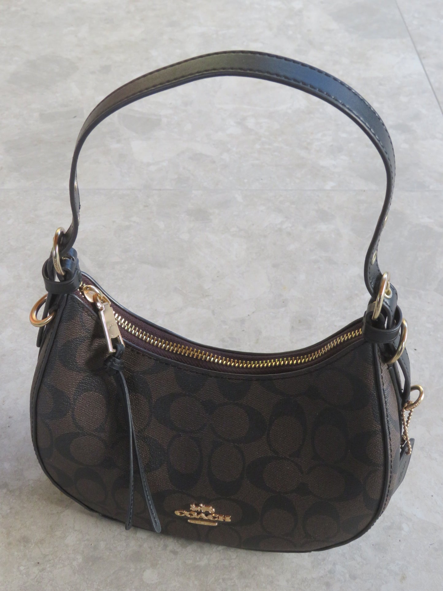 Coach Signature Kleo Hobo Bag