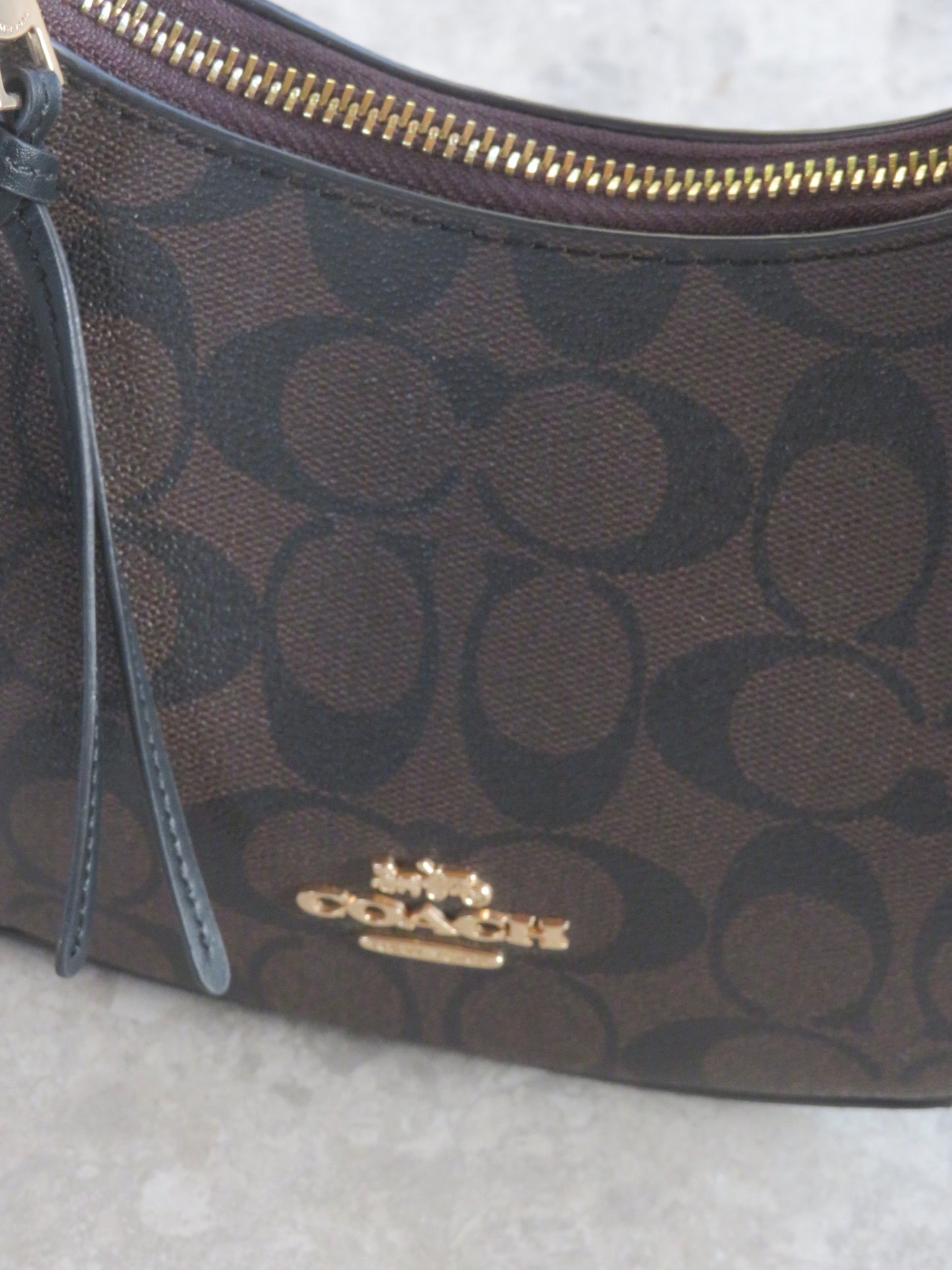 Coach Signature Kleo Hobo Bag