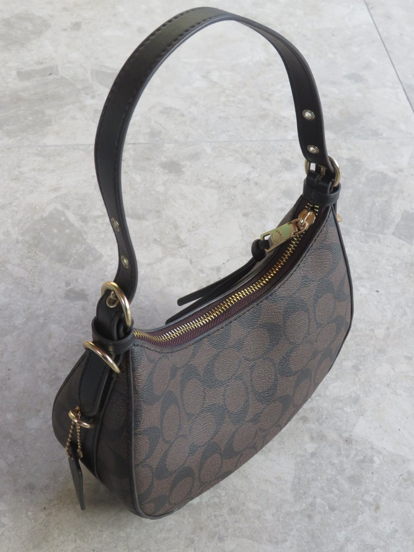 Coach Signature Kleo Hobo Bag