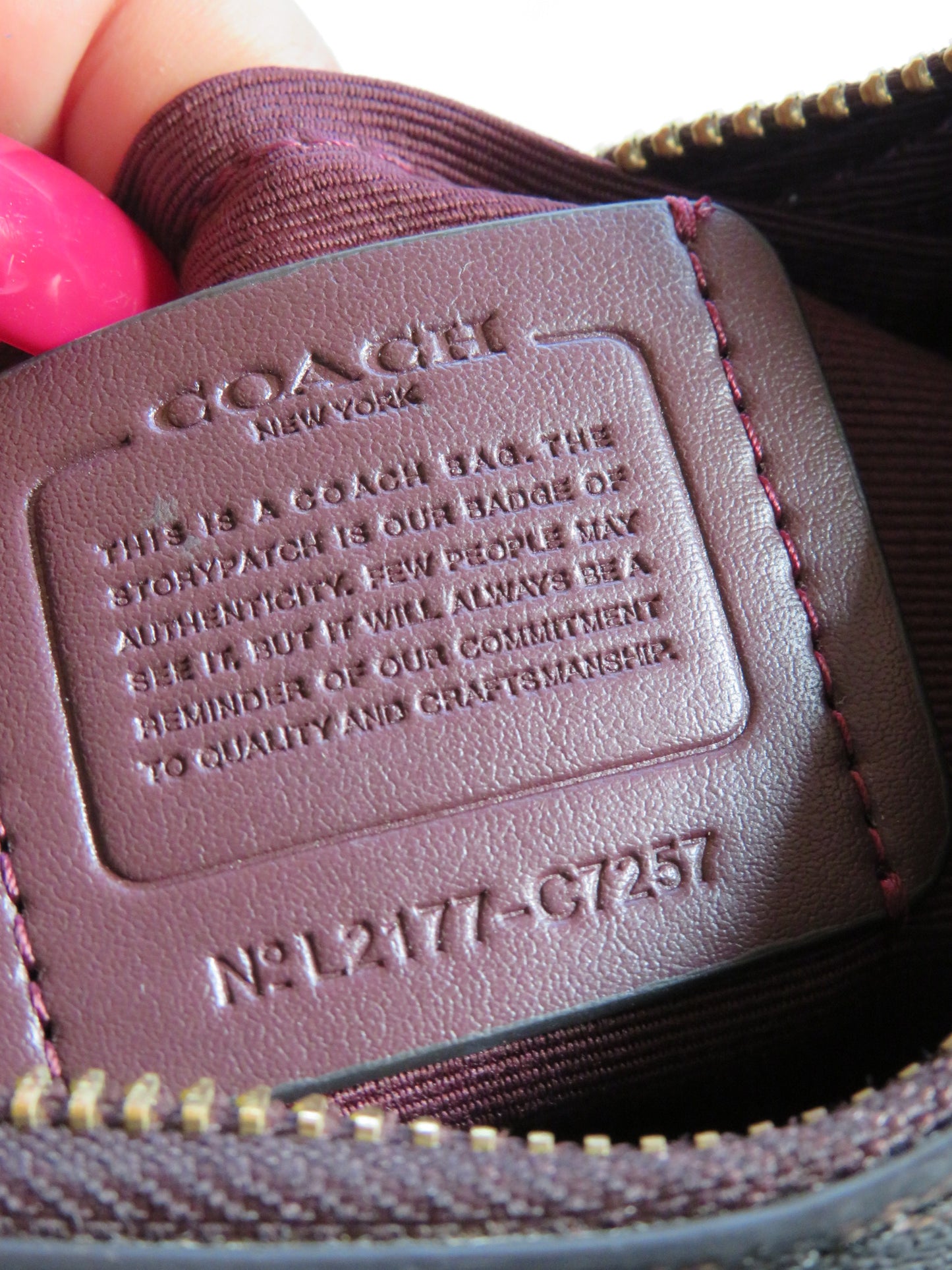 Coach Signature Kleo Hobo Bag