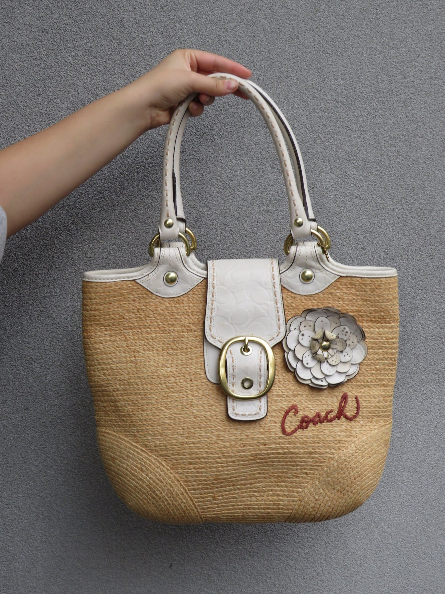 Straw Leather Coach Bag